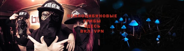 ешки Верхний Тагил