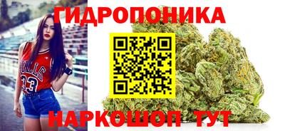 spice Обь