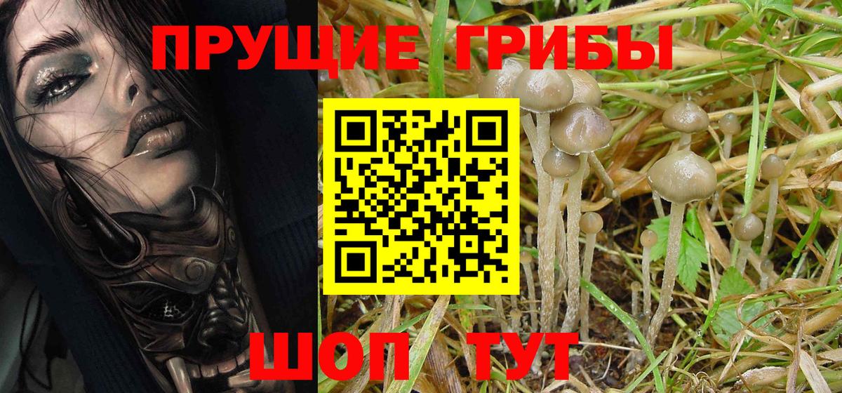 Галлюциногенные грибы Magic Shrooms  Галлюциногенные грибы Psilocybe  Бутурлиновка  Вход с VPN 