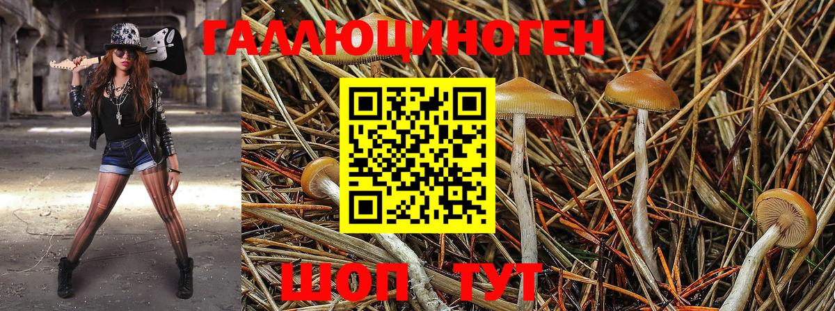 Псилоцибиновые грибы MAGIC MUSHROOMS Бутурлиновка